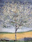 Ferdinand Hodler Cherry tree in bloom Sweden oil painting reproduction